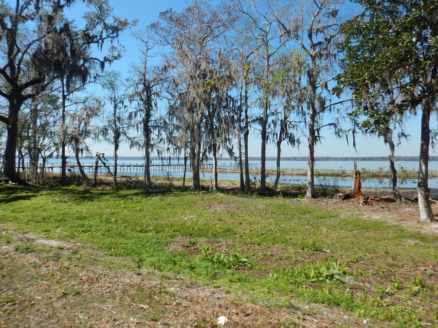 Beside the St. Johns River.